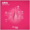 EasyConnect Aria okos vibrációs tojás