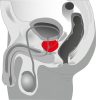 You2Toys - Prostate massager - forgó prosztata vibrátor (fekete)